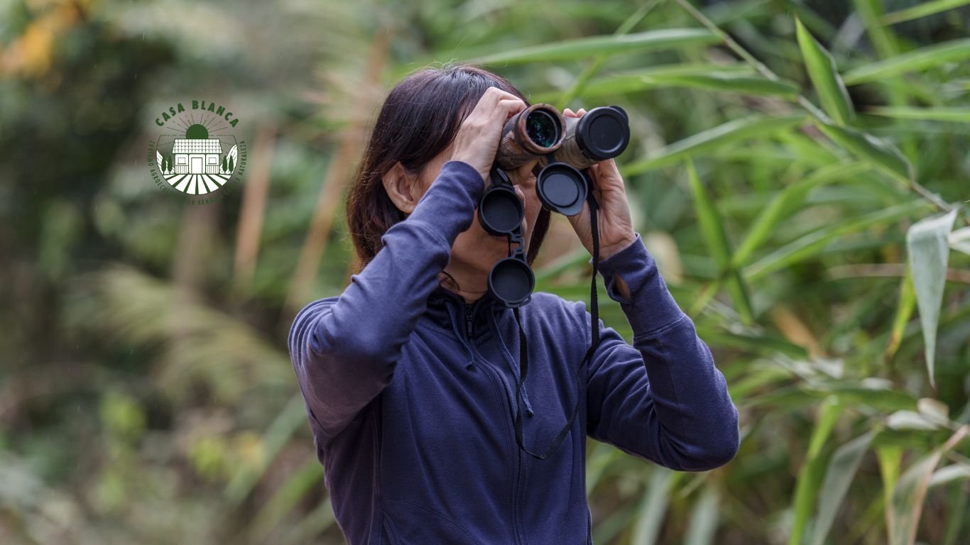 Aplicaciones para Identificar Aves