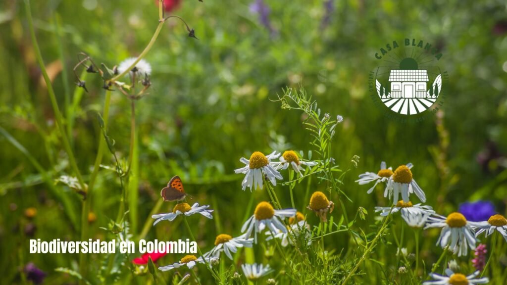 Biodiversidad en Colombia