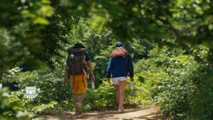 Birding Ecotours