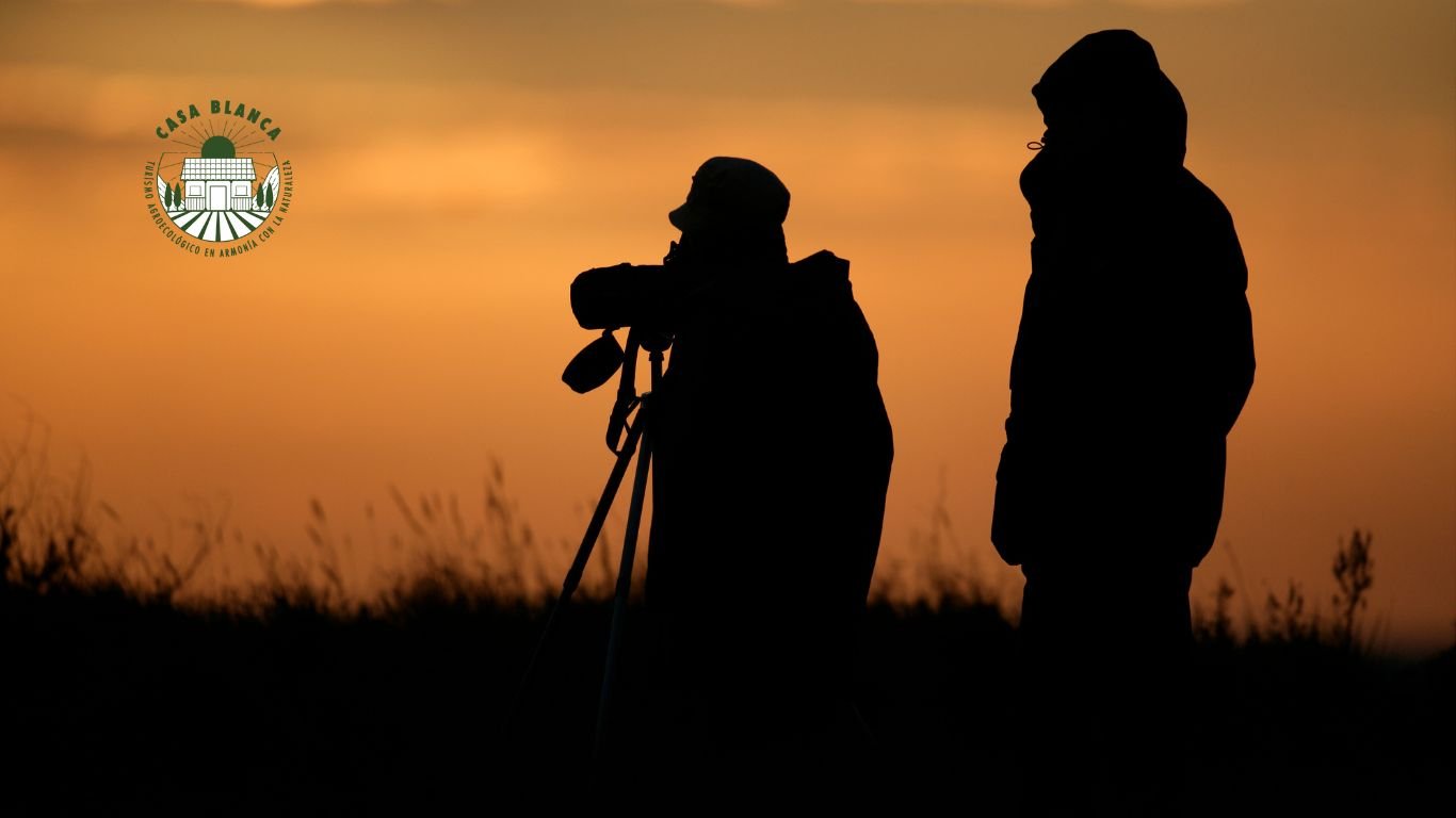 Cámaras Fotográficas para Birdwatching