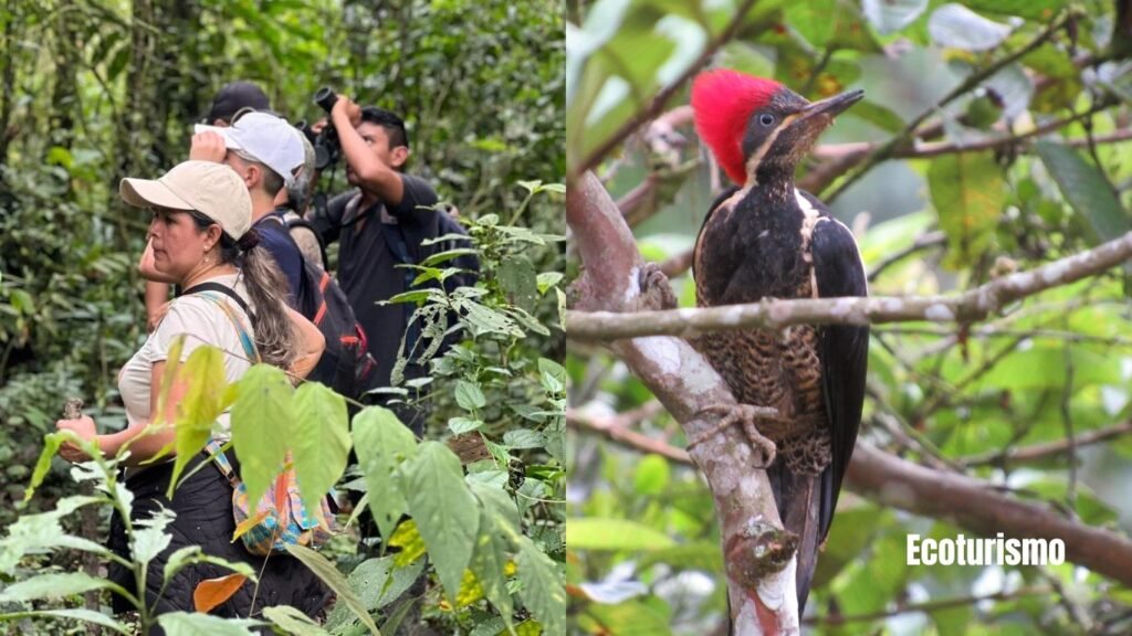 Ecoturismo Colombia