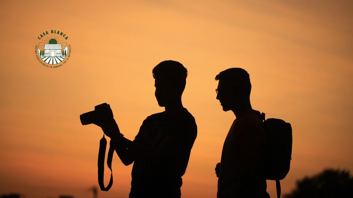 Fotografía de Aves