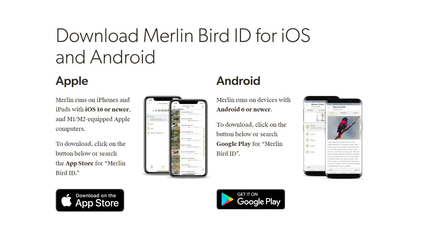 Merlin Bird ID