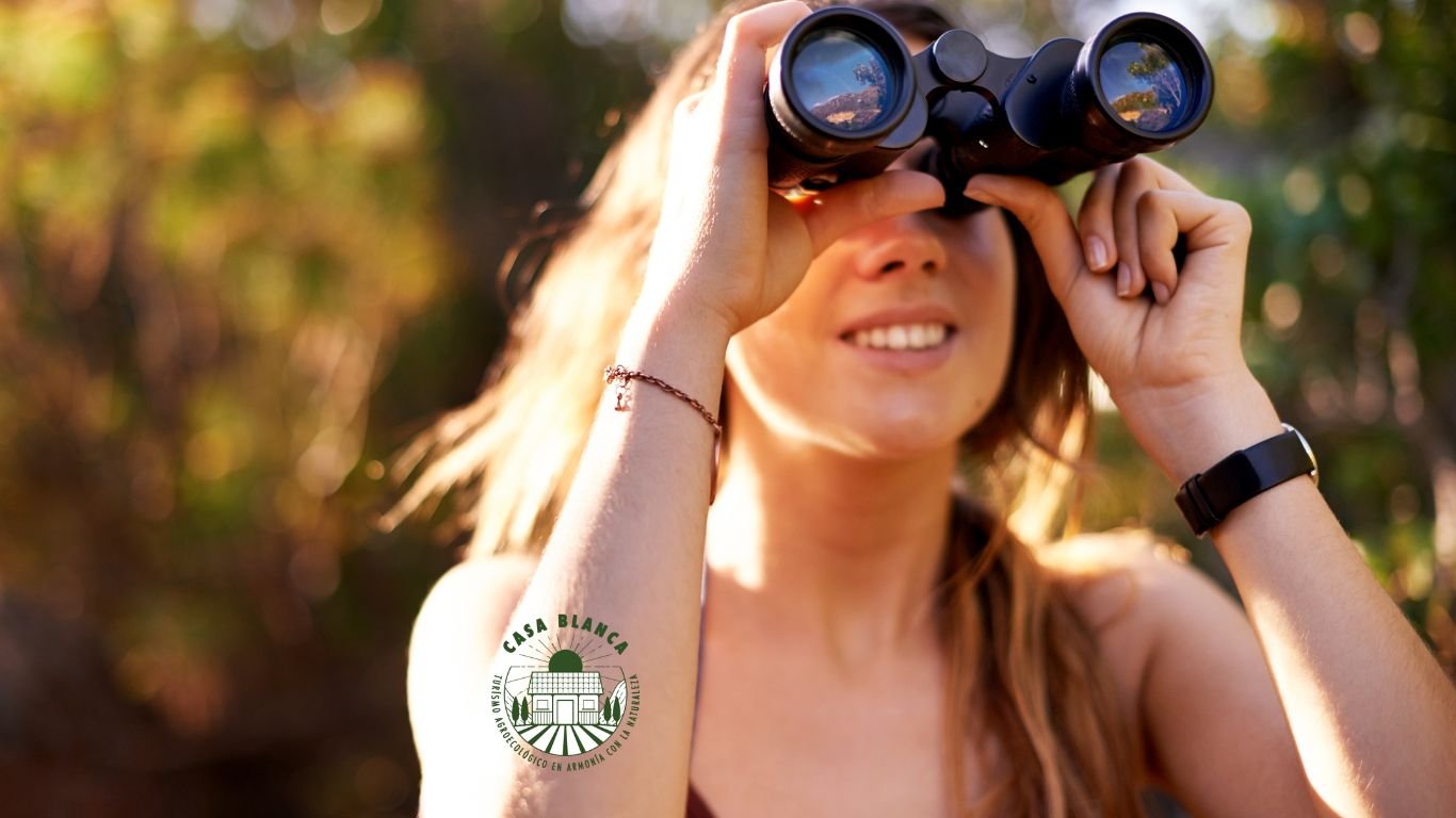 Observación de Aves