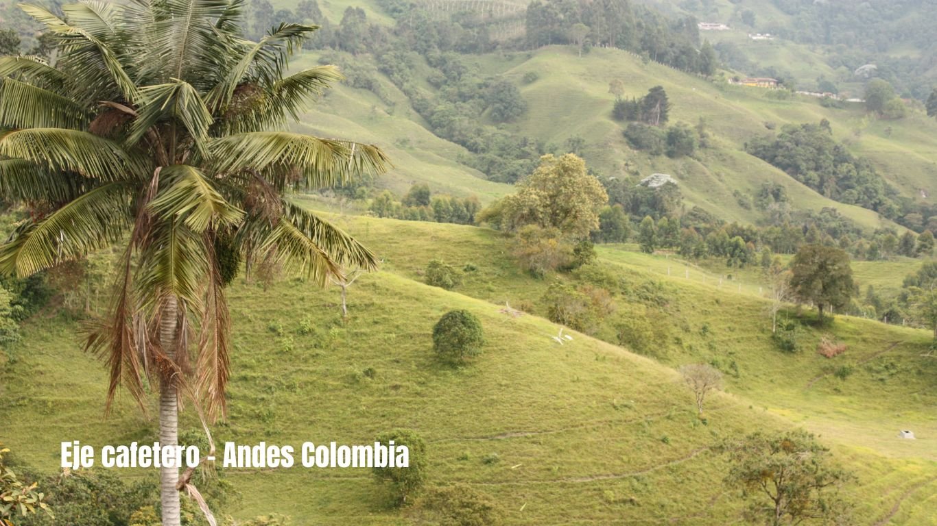 Región Andina de Colombia