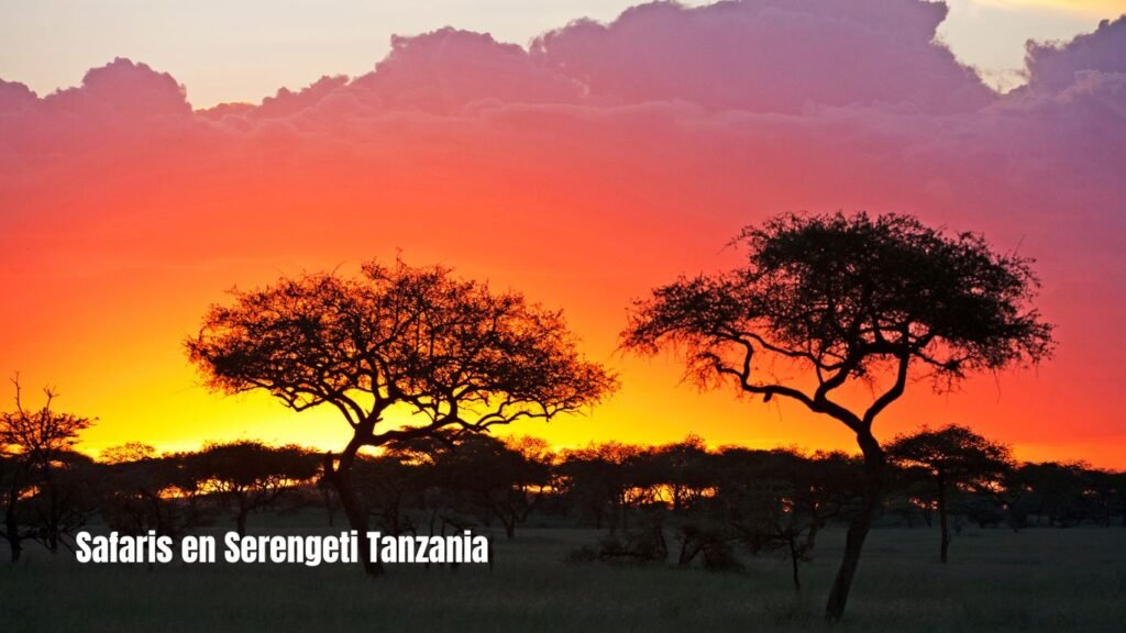 Safaris en Serengeti Tanzania