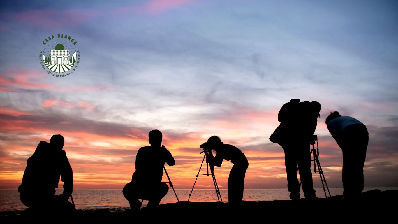 Técnicas de Fotografía de Aves